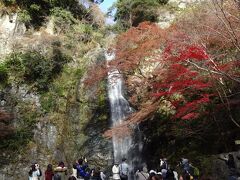 やっと着いた～箕面大滝、豪快な流れです。
