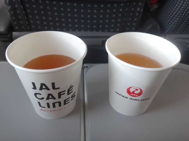 東京（羽田）ー石垣島（石垣空港）行きのJALのドリンクサービスでいただいたもの<br />の写真。<br /><br />JALのクラスJでは食事やアルコールは提供されません。<br />ANAのプレミアムクラスの羽田発ー伊丹行き、関西行き、札幌（新千歳）行き、<br />福岡行き、沖縄（那覇）行きだと食事が出るのでちょっとだけ楽しみです。<br /><br />（写真左）<br />・ ビーフコンソメスープ<br /><br />（写真右）<br />・ 冷緑茶「綾鷹」