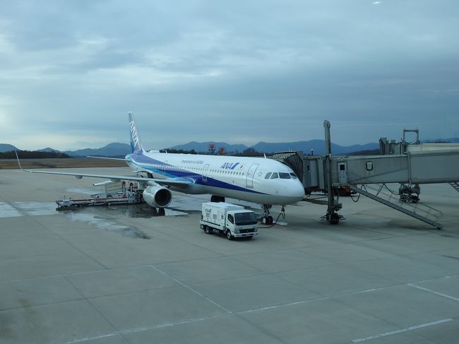 ANA ９：２５発の飛行機に乗ります。<br />これから長い長い２９日の始まりです。