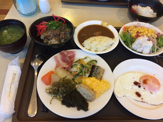 昨日と違うメニューもあったので、できるだけそうしたものを選んで食べます。<br />昨日のカレーが美味しかったので、また食べます。さらに今日は牛丼も食べてしまいました。