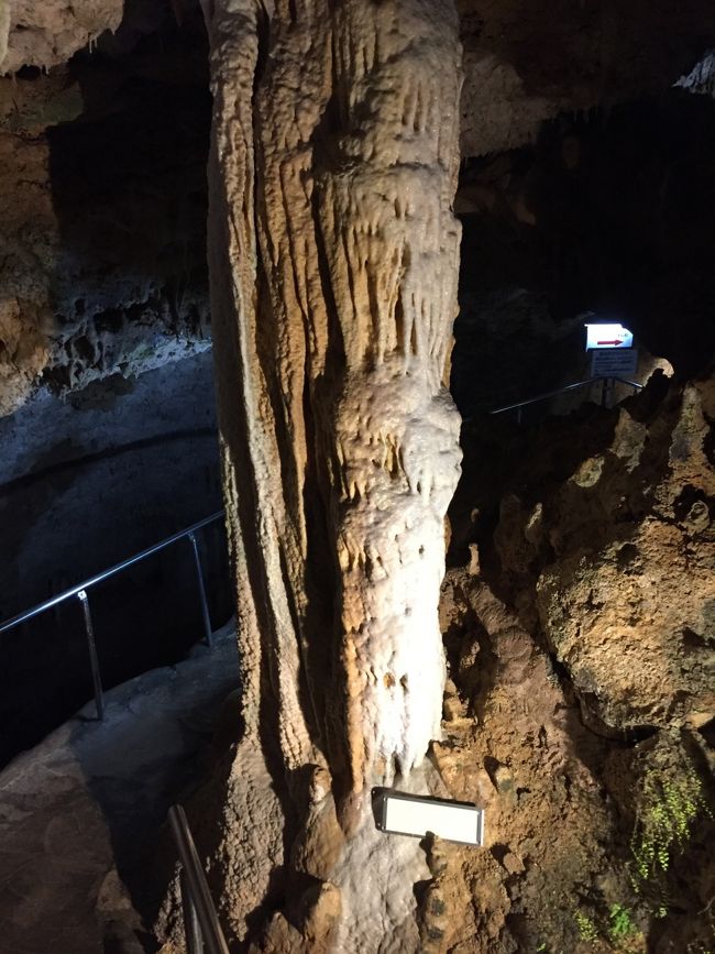 もともとは海底にあったとのことで、サンゴ礁からできた鍾乳洞です。色々な形の鍾乳石があり、ライトアップもしており、1080円の入場料からすれば、リーズナブルです。かなり見所ありです。<br />さらに売店も大きく食事を取れるところもありました。空港にも系列の売店がありました。