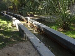 アル・アイン・オアシス（公園内にはファラジュ（灌漑用水路）が至る所に流れています。）