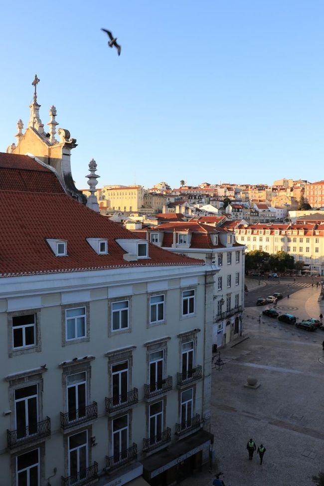 雲一つない快晴です。<br />やったね！