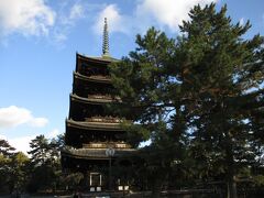 興福寺五重塔 