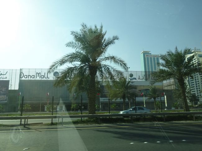 Ｄａｎａ　Ｍａｌｌ
