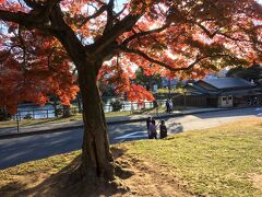 興福寺 南円堂 近く