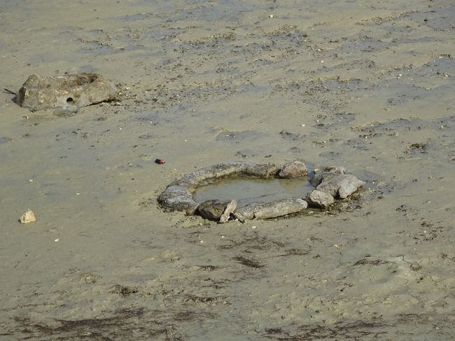 海の中に真水の湧水です。