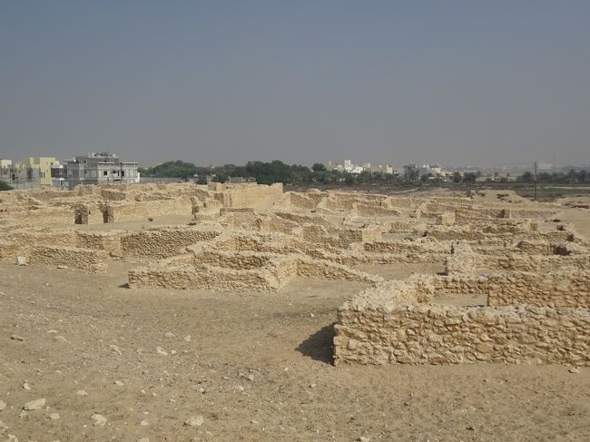 サール集落遺跡（ここは主要街路　居住区　神殿より成り立ちます。）