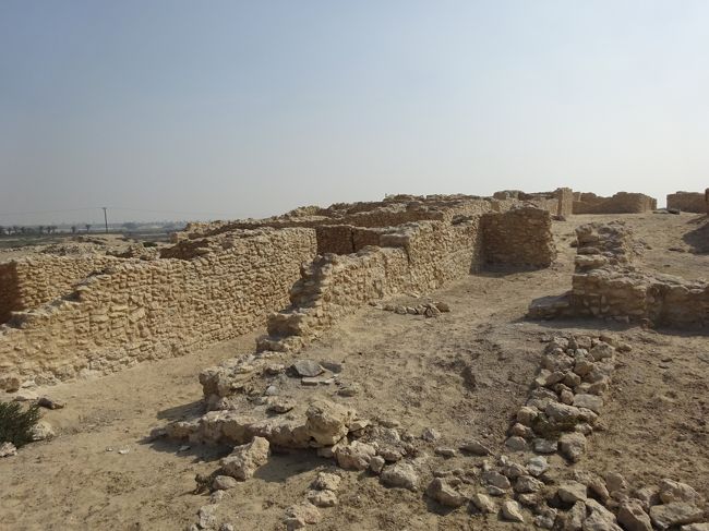 サール集落遺跡（居住区）