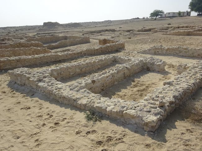 サール集落遺跡（居住区）　右上の建物より歩いて来ました。