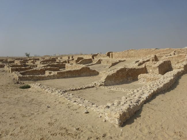 サール集落遺跡（居住区）