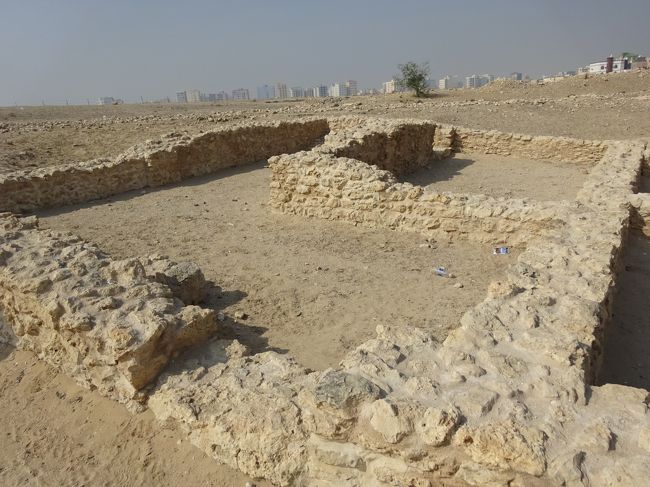 サール集落遺跡（居住区）