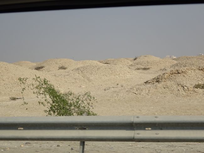 アアリ古墳群とアアリ王墓（王墓は高さ６～８Ｍ　径１０～１２Ｍの古墳で１８基が残っています。）