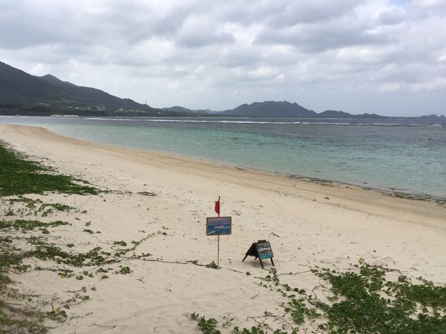 次に、川平湾から玉取崎展望台に向かう途中にある米原ビーチに寄りました。<br />米原キャンプ場を目印に行きますが、駐車場がないため、ゆっくりと砂浜で遊んでいる時間がなかったのが残念です。ビーチは遠浅で泳ぎやすそうですが、冬場なので誰もいませんでした。