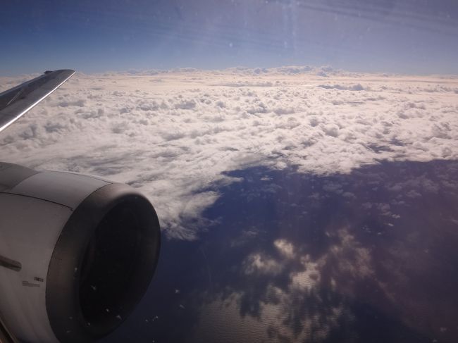 ちなみに去年、横浜で食べ歩きをした際にJALの機内のコーヒーディレクター<br />川島良彰さんのカフェを載せたブログはこちら↓<br /><br /><横浜馬車道・元町・日本大通りのグルメ　【エノテカ】のワインセミナーは<br />とってもお得！「RIEDEL」のグラスも貰え20種類のワインをテイスティング後は<br />笑いが止まらず♪　JALの機内のコーヒーディレクター川島良彰さんのカフェ<br />【ミカフェート】横浜元町店、【ecomo Bakery】、イタリアン【ラ テンダロッサ】><br /><br />http://4travel.jp/travelogue/11139481<br /><br />真っ白な雲海の写真。<br /><br />う～ん、雲が多いな・・・。<br />そろそろ沖縄の島々が見えてもいいと思うのですが・・・。