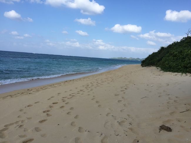 島の北端にあたる平久保崎灯台への途中で、石垣島サンセットビーチに立ち寄りました。<br />12月だから当然ですが、行き方にも迷うほど人がいませんでした。<br />しかし、ビーチに来て見たら、裸で砂遊びしている親子連れがいました。干潮でも泳げるというビーチなので、暖かければ泳ぎたくなる浜です。