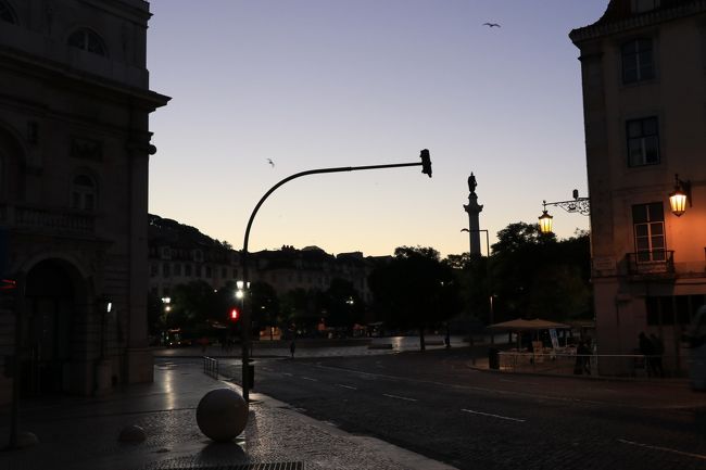 だんだんと空が明るくなって来ましたよ。<br />それにしても不気味なくらいに鳥が多い。