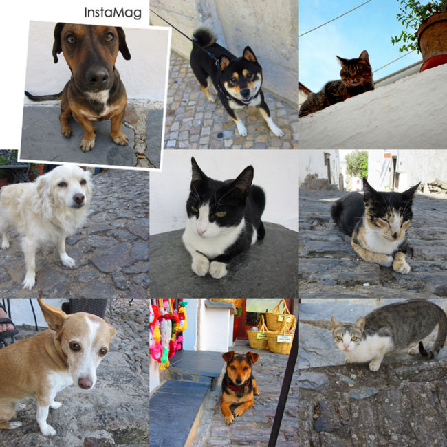 お天気に恵まれ、<br />たくさんの人に助けてもらい、<br />たくさんの人に出会い、<br />日本では出会えない景色を見れたこと、忘れられない思い出になりました♪<br />ありがとうございます！<br />さて、次はどこへ行こうかな～<br />アソーレス諸島とかイビサとかポルトガル・スペインの島巡りがしたいなぁ～☆.:*☆<br />お付き合い頂きありがとうございました☆(o^^o)<br />