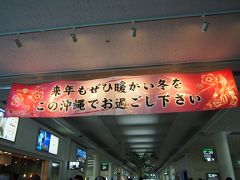 もう空港だ。
来年もお正月に沖縄に来られるといいな。