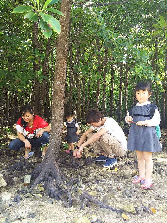 到着してから早速、レンタカーを借りる。<br />ファミリーだからＶＡＮにグレードアップして快適に観光する。<br />途中のヒルキ林でカニ見学