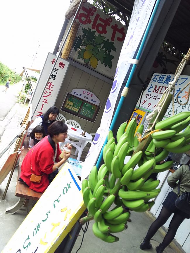 ここへの入り口が解かりにくいです。<br />「米原ヤエヤマヤシ群落」をナビで設定すると坂を上がって行った突き当りです。