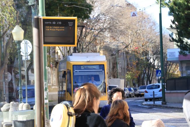 市電１５番の乗り場です。<br />これに乗ってリベイラ市場へと向かいます。