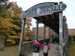 アルゴンキン・ビジターセンター（Algonquin Visitor Centre）に到着。

公園の自然と歴史について知ることができます。
