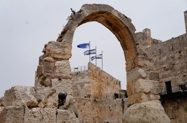 エルサレム 3000年記念 イスラエル・3000年の歴史を感じる旅 (Immersing yourself in 3000