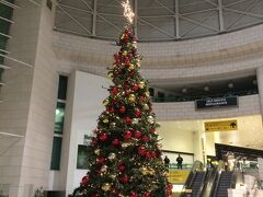 空港には立派なツリーが飾られていました。