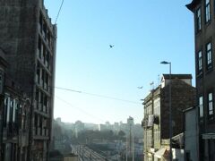 ドン・ルイスⅠ世橋では人もメトロも同じ場所を通る。

メトロの入る線路と歩道との間には等間隔にポールがある
だけなので油断すると線路にも入ってしまう。

夫は後ろから来ているメトロに気が付かずもう少しで接触する
所だった。

メトロは手前が地下で橋の際で地上に出て走る。

ここで車は行き止まり。

人は両脇から橋に入り橋からの眺望を
楽しみことが出来る。

このような作りは面白かった。

川の向こうの左は修道院がある。

右はポルトワインのワイナリーが連なっている。

写真では鳥が飛んでいるのが写っている。

大西洋へ流れいる河口が近いので海鳥が多い。