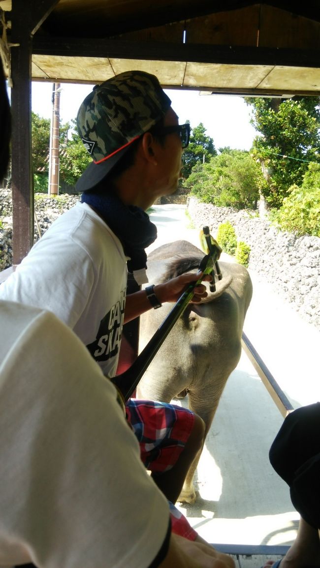 お兄さんが沖縄民謡を歌いながら、牛がひいてくれる。<br />三歩歩いちゃ止まり、やっと進んだと思ったらまた止まる。<br />の〜んびりマイペースの牛だった♪<br />沖縄だから、こういうのもいいなぁ(*´∀｀*)<br />