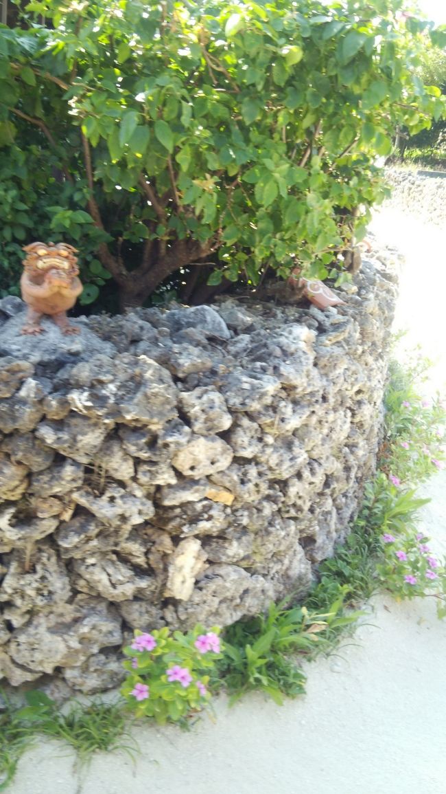 五郎丸風のシーサー!