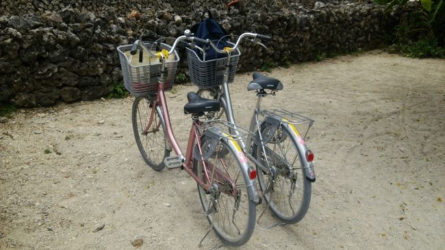 ママチャリでのんびりサイクリング☆