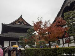 まず訪れたのは、東福寺。ここは京都でも屈指の紅葉の名所。雨が恨めしい。