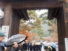 次に訪れたのは永観堂禅林寺。こちらも紅葉の名所。