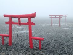 翌朝早起きしたのだが、起きるや否や、うな垂れた。。凄い霧。

道の駅近くにある、大魚神社の「海中鳥居」。