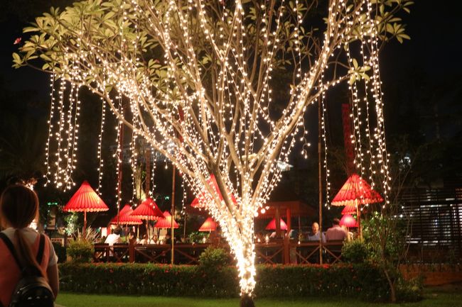 ライト　アップされている