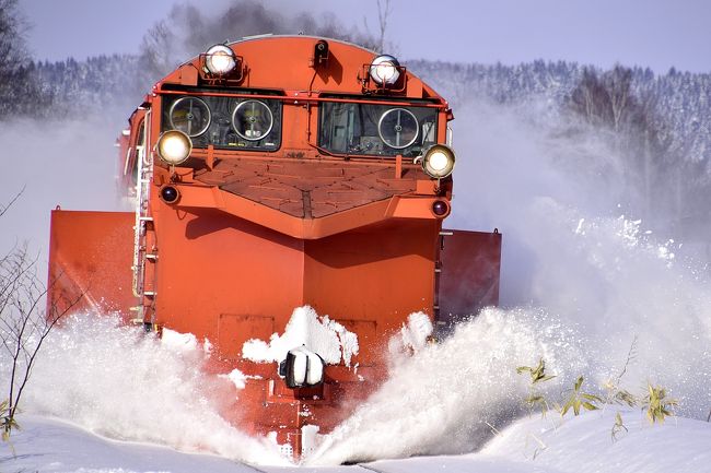 北海道の雪 Sapporo receives 20cm of snow for the first time in a while