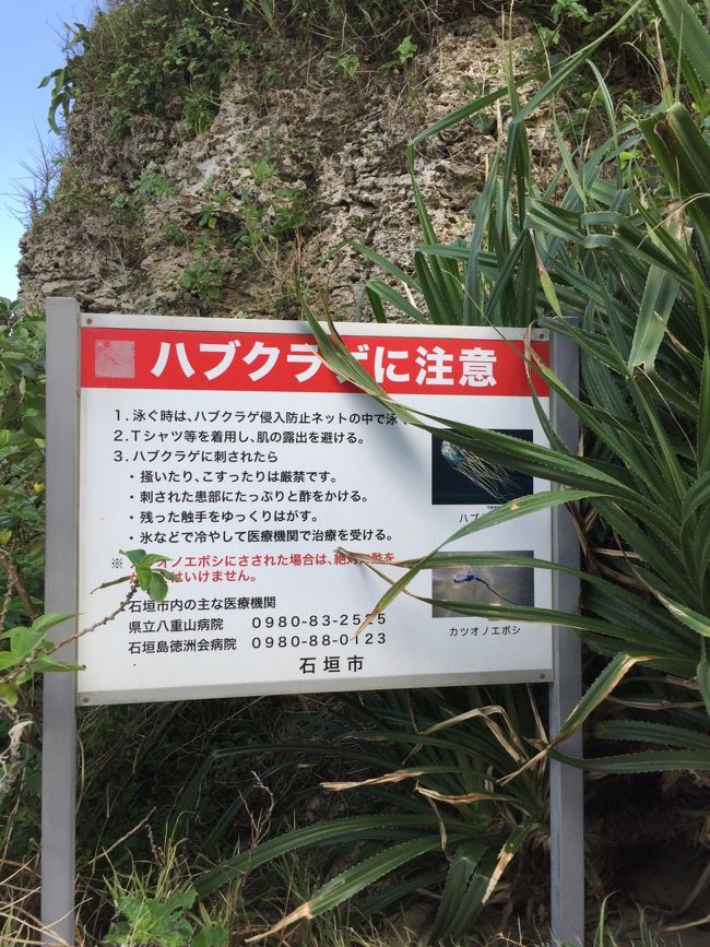 ただ、ハブクラゲに注意という看板が立っていたので、怖さもあることも知りました。