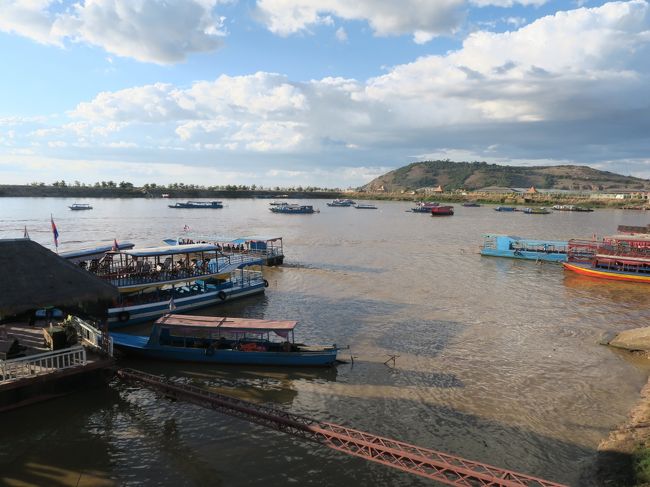 クルーズ船がひっきりなしに発着している。