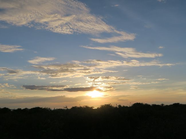 湖に沈む夕日を期待していたが、夕日の方向にはマングローブの森が立ちはだかっていた。