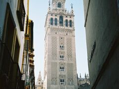大聖堂に隣接した高さ98ﾒｰﾄﾙのヒラルダの塔、イスラム教のモスクのミナレット（尖塔）をレコンキスタ後に改装したもの