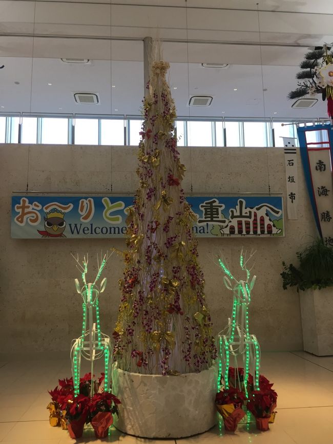 オリックスレンタカーに車を返して、新石垣空港に送ってもらいました。19時25分発の羽田までの直行便で帰ります。<br />