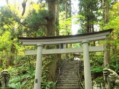 十和田神社は恐山と並ぶ霊場として篤い信仰を集めて来たという神社です。

杉林の中、鳥居と石の階段がありました。

神聖な雰囲気に満ちた参道です。