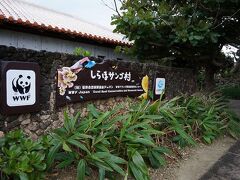 予約していたレンタカーで　まずは白保へ！

