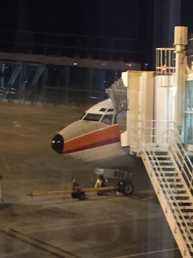 帰りの飛行機は、JTAの前に南西航空だった頃のSWALカラーの塗装でした。