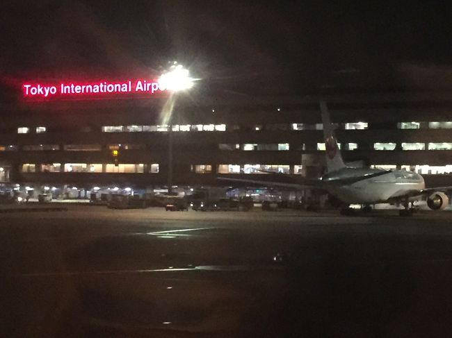 帰りの便では、酔っ払っていて乗り込んですぐに寝てしまったようで、離陸したことを知りませんでしたが、予定通り無事に羽田に到着しました。<br />