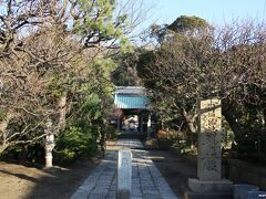 常立寺　参道と山門

江ノ電江ノ島駅から徒歩数分、この寺には、紅白の枝垂れ梅があることで知られています。