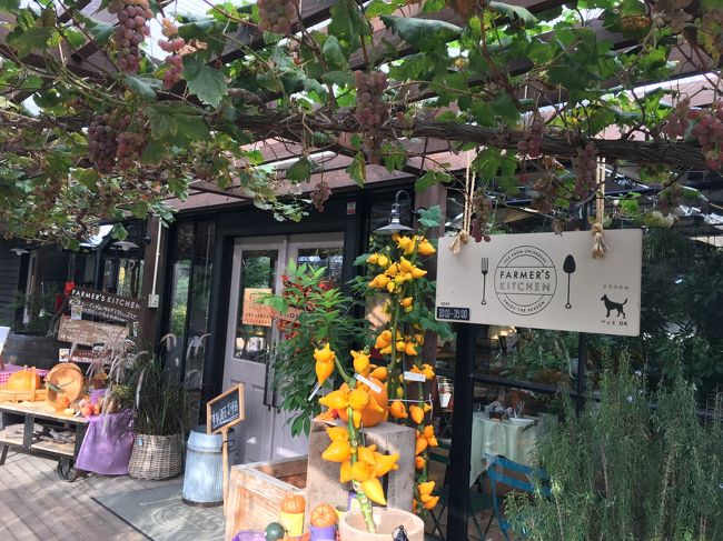 ザ ファーム ユニバーサル おしゃれな園芸店 カフェ 茨木彩都 茨木 摂津 大阪 の旅行記 ブログ By めぇさん フォートラベル