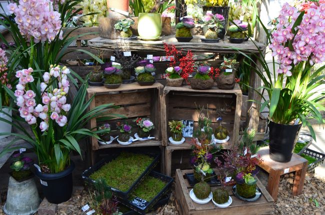 ザ ファーム ユニバーサル おしゃれな園芸店 カフェ 茨木彩都 茨木 摂津 大阪 の旅行記 ブログ By めぇさん フォートラベル